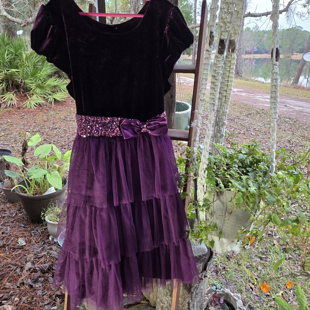 Jona Michelle Purple Velvet Bodice Tulle Lower Girls Formal Dress Size 12